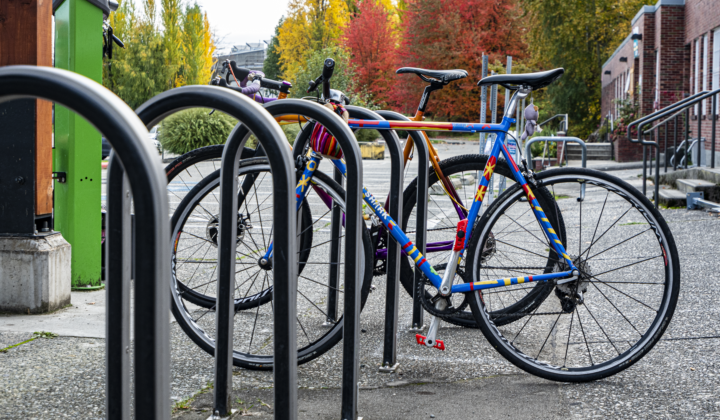 Westport™ No Scratch® Bike Rack